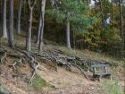 foto/forum/2009/th-img10829.jpg