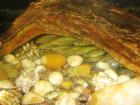 foto/forum/2009/th-img10832.jpg
