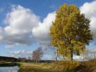 foto/forum/2009/th-img10838.jpg
