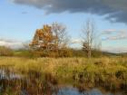 foto/forum/2009/th-img10839.jpg