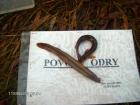 foto/forum/2009/th-img10879.jpg