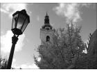 foto/forum/2009/th-img10919.jpg