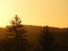 foto/forum/2009/th-img10967.jpg