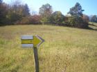 foto/forum/2009/th-img10991.jpg