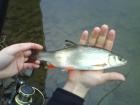 foto/forum/2009/th-img11042.jpg