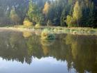 foto/forum/2009/th-img11139.jpg
