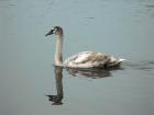 foto/forum/2009/th-img11193.jpg