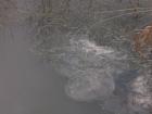 foto/forum/2009/th-img11338.jpg
