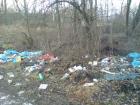 foto/forum/2009/th-img11368.jpg