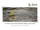 foto/forum/2009/th-img11382.jpg