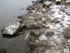 foto/forum/2009/th-img6841.jpg