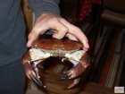 foto/forum/2009/th-img7178.jpg
