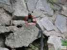 foto/forum/2009/th-img7230.jpg