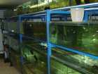 foto/forum/2009/th-img7231.jpg