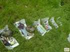 foto/forum/2009/th-img7295.jpg