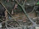 foto/forum/2009/th-img7296.jpg
