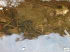foto/forum/2009/th-img7412.jpg