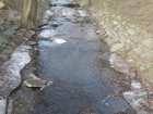foto/forum/2009/th-img7413.jpg