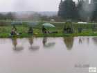 foto/forum/2009/th-img7439.jpg