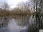 foto/forum/2009/th-img7905.jpg