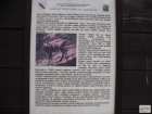 foto/forum/2009/th-img7959.jpg