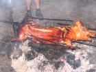 foto/forum/2009/th-img9468.jpg