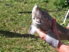 foto/forum/2009/th-img9469.jpg