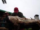 foto/forum/2009/th-img9987.jpg
