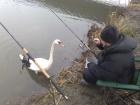 foto/forum/2010/th-img11404.jpg