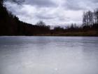 foto/forum/2010/th-img11406.jpg