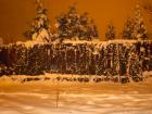 foto/forum/2010/th-img11453.jpg