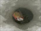 foto/forum/2010/th-img11464.jpg