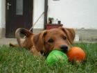 foto/forum/2010/th-img11511.jpg