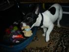 foto/forum/2010/th-img11521.jpg