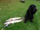 foto/forum/2010/th-img11524.jpg