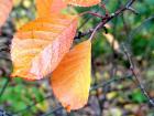 foto/forum/2010/th-img11557.jpg