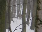 foto/forum/2010/th-img11582.jpg