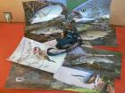 foto/forum/2010/th-img11603.jpg