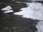 foto/forum/2010/th-img11684.jpg