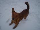 foto/forum/2010/th-img11704.jpg