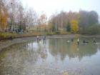 foto/forum/2010/th-img11809.jpg