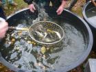 foto/forum/2010/th-img11810.jpg