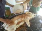 foto/forum/2010/th-img11825.jpg