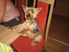 foto/forum/2010/th-img11838.jpg