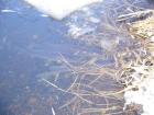 foto/forum/2010/th-img11843.jpg