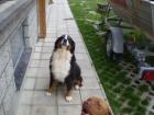 foto/forum/2010/th-img11850.jpg