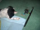 foto/forum/2010/th-img11854.jpg