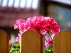 foto/forum/2010/th-img11881.jpg