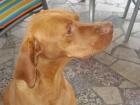 foto/forum/2010/th-img11907.jpg