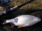 foto/forum/2010/th-img11939.jpg